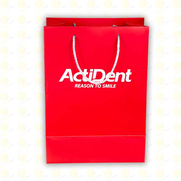 ساک دستی actident